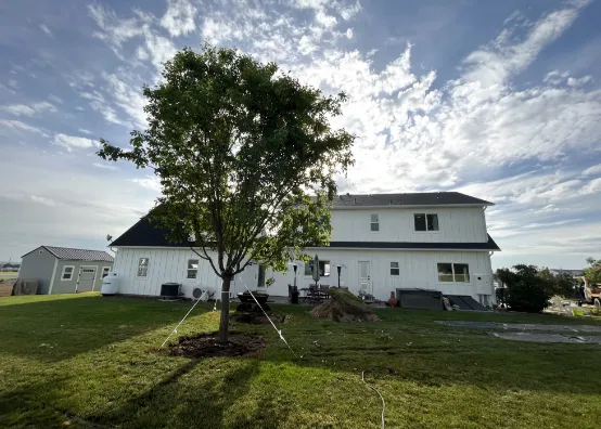 new planted tree in backyard of white home